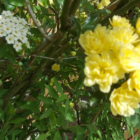 UscioRifugio Valentina别墅 外观 照片