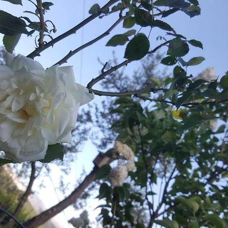 UscioRifugio Valentina别墅 外观 照片