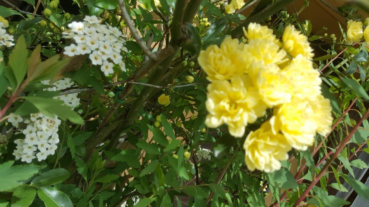 UscioRifugio Valentina别墅 外观 照片