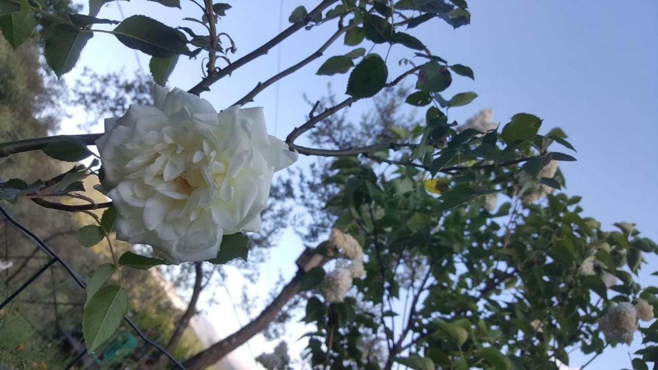UscioRifugio Valentina别墅 外观 照片