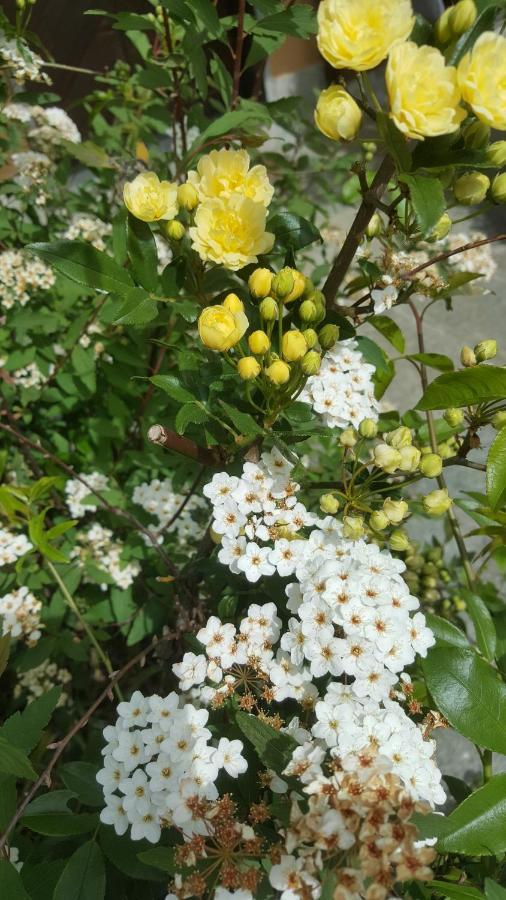 UscioRifugio Valentina别墅 外观 照片