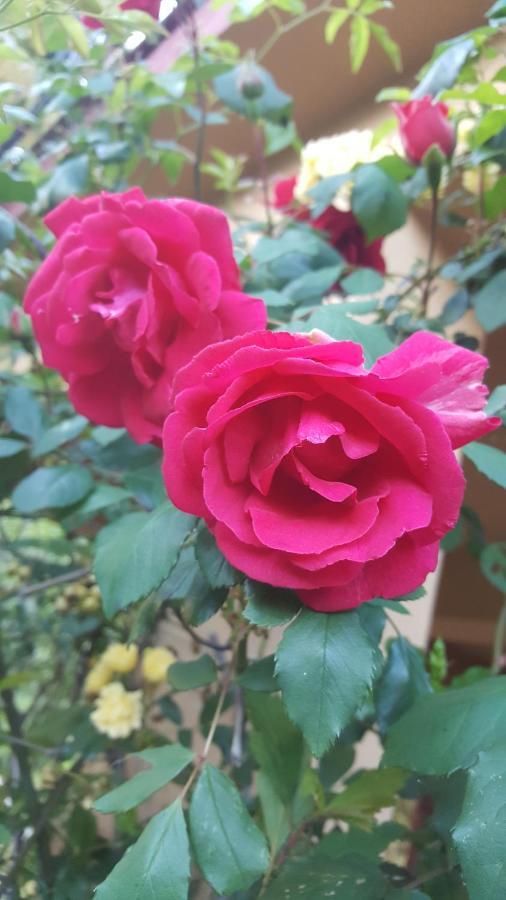 UscioRifugio Valentina别墅 外观 照片